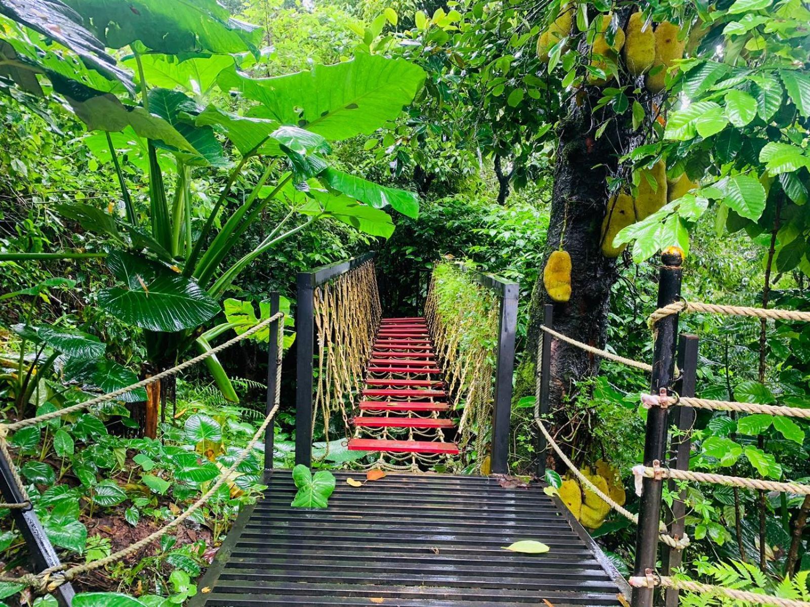 The Mountain Shades Resort Madikeri Zewnętrze zdjęcie